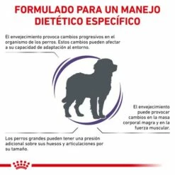 Royal Canin Pienso Senior Consult Mature Large Dog -Suministros De Mascotas Ventas 2024 RC VET DRY DogMatConsLD CV 2 es ES 62fcc48caadb7 g
