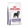 Royal Canin Pienso Senior Consult Mature Large Dog