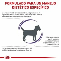 Royal Canin Pienso Senior Consult Mature Small Dog 16 Royal Canin Pienso Senior Consult Mature Small Dog -Suministros De Mascotas Ventas 2024 RC VET DRY DogMatConsSD CV 2 es ES 62fcc4bd14448 g