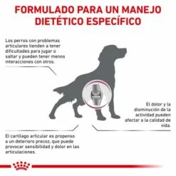 Royal Canin Support Mobility 14 Royal Canin Support Mobility -Suministros De Mascotas Ventas 2024 RC VET DRY DogMob CV Eretailkit 2 es ES 62fcca125ca4c g