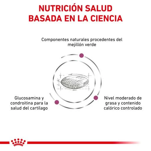 Royal Canin Support Mobility 7 Royal Canin Support Mobility - Imagen 5