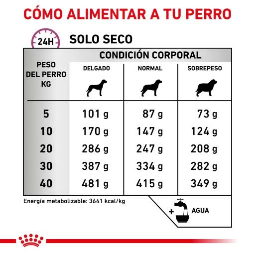 Royal Canin Support Mobility 9 Royal Canin Support Mobility - Imagen 7
