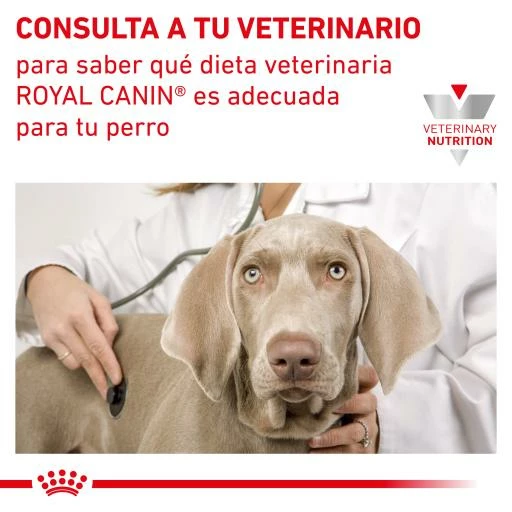 Royal Canin Support Mobility 11 Royal Canin Support Mobility - Imagen 9