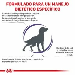 Royal Canin Pienso Neutered Adult Medium Dogs -Suministros De Mascotas Ventas 2024 RC VET DRY DogNeutAD CV 2 es ES 62fcc4dbc592c g
