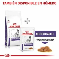 Royal Canin Pienso Neutered Adult Medium Dogs -Suministros De Mascotas Ventas 2024 RC VET DRY DogNeutAD CV 8 es ES 62fcc4e157bde g