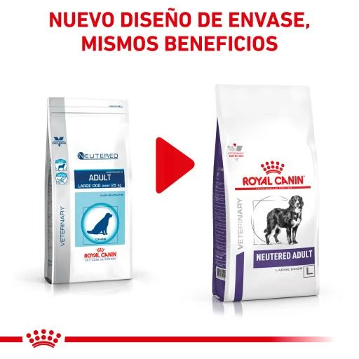 Royal Canin Pienso Neutered Adult Large Dogs 5 Royal Canin Pienso Neutered Adult Large Dogs - Imagen 3