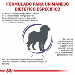 Royal Canin Pienso Neutered Adult Large Dogs 15 Royal Canin Pienso Neutered Adult Large Dogs -Suministros De Mascotas Ventas 2024 RC VET DRY DogNeutADLD CV 2 es ES 62fcc5002583a g