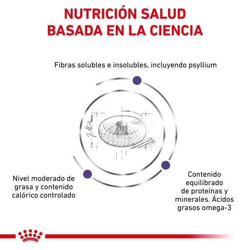 Royal Canin Pienso Neutered Adult Large Dogs 7 Royal Canin Pienso Neutered Adult Large Dogs - Imagen 5