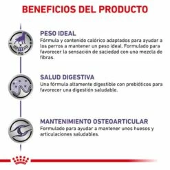 Royal Canin Pienso Neutered Adult Large Dogs 17 Royal Canin Pienso Neutered Adult Large Dogs -Suministros De Mascotas Ventas 2024 RC VET DRY DogNeutADLD CV 4 es ES 62fcc50243f86 g