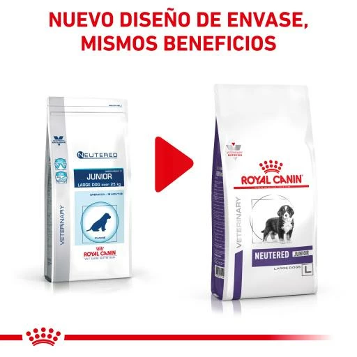 Royal Canin Pienso Neutered Junior Large Dog 4 Royal Canin Pienso Neutered Junior Large Dog - Imagen 2