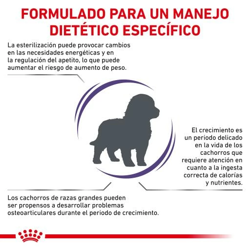 Royal Canin Pienso Neutered Junior Large Dog 5 Royal Canin Pienso Neutered Junior Large Dog - Imagen 3