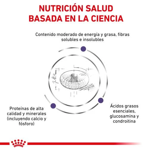 Royal Canin Pienso Neutered Junior Large Dog 6 Royal Canin Pienso Neutered Junior Large Dog - Imagen 4