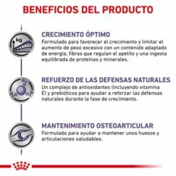 Royal Canin Pienso Neutered Junior Large Dog 14 Royal Canin Pienso Neutered Junior Large Dog -Suministros De Mascotas Ventas 2024 RC VET DRY DogNeutJULD CV 4 es ES 62fcc574ca5f1 g