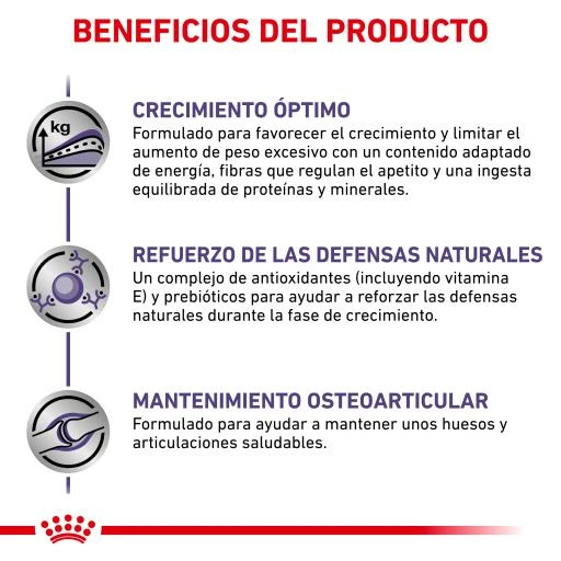 Royal Canin Pienso Neutered Junior Large Dog 7 Royal Canin Pienso Neutered Junior Large Dog - Imagen 5