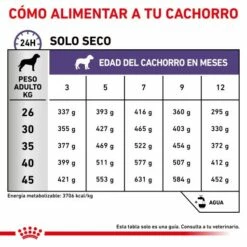 Royal Canin Pienso Neutered Junior Large Dog 15 Royal Canin Pienso Neutered Junior Large Dog -Suministros De Mascotas Ventas 2024 RC VET DRY DogNeutJULD CV 6 es ES 62fcc575c758a g