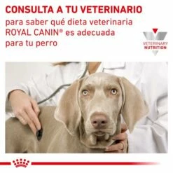 Royal Canin Pienso Satiety Para Perros De Raza Pequeña -Suministros De Mascotas Ventas 2024 RC VET DRY DogSatietyWMSD CV Eretailkit 9 es ES 62fcdf1803acc g