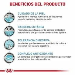 Royal Canin Pienso Skin Care Canine -Suministros De Mascotas Ventas 2024 RC VET DRY DogSkinCare CV Eretailkit 3 es ES 62fcc006022fc g