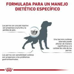 Royal Canin Pienso Skin Care Canine -Suministros De Mascotas Ventas 2024 RC VET DRY DogSkinCare CV Eretailkit 7 es ES 62fcc00d6b1a3 g
