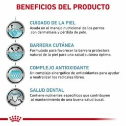 Royal Canin Pienso Skin Care Adult Small Dog -Suministros De Mascotas Ventas 2024 RC VET DRY DogSkinCareSD CV Eretailkit 3 es ES 62fcc06a7bbde g