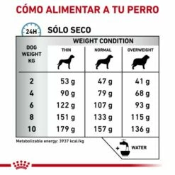 Royal Canin Pienso Skin Care Adult Small Dog -Suministros De Mascotas Ventas 2024 RC VET DRY DogSkinCareSD CV Eretailkit 5 es ES 62fcc06bb8834 g