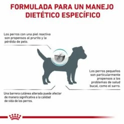 Royal Canin Pienso Skin Care Adult Small Dog -Suministros De Mascotas Ventas 2024 RC VET DRY DogSkinCareSD CV Eretailkit 8 es ES 62fcc07081129 g