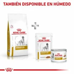 Royal Canin Pienso Urinary S/O Canine 20 Royal Canin Pienso Urinary S/O Canine -Suministros De Mascotas Ventas 2024 RC VET DRY DogUrinarySO CV Eretailkit 6 es ES 62fcc6b2deee5 g