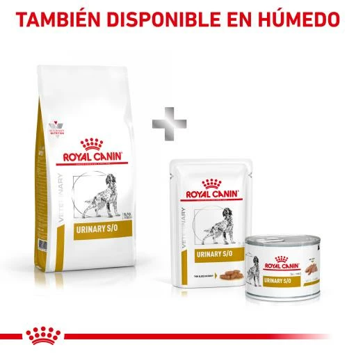 Royal Canin Pienso Urinary S/O Canine 10 Royal Canin Pienso Urinary S/O Canine - Imagen 8