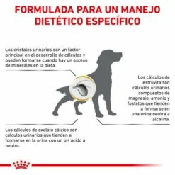 Royal Canin Pienso Urinary S/O Canine 22 Royal Canin Pienso Urinary S/O Canine -Suministros De Mascotas Ventas 2024 RC VET DRY DogUrinarySO CV Eretailkit 8 es ES 62fcc6b5f1241 g