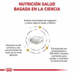 Royal Canin Urinary Ageing+7 -Suministros De Mascotas Ventas 2024 RC VET DRY DogUrinarySOAGE CV Eretailkit 1 es ES 62fcc6d4bd34b g