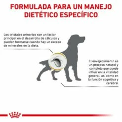 Royal Canin Urinary Ageing+7 -Suministros De Mascotas Ventas 2024 RC VET DRY DogUrinarySOAGE CV Eretailkit 7 es ES 62fcc6dc3ef25 g