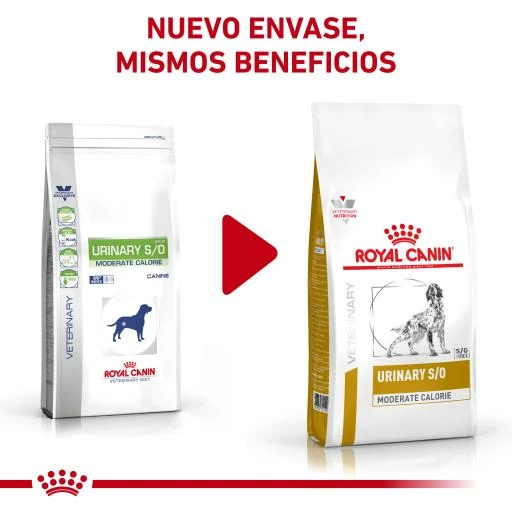 Royal Canin Pienso Urinary S/O Moderate Calorie Para Perro 4 Royal Canin Pienso Urinary S/O Moderate Calorie Para Perro - Imagen 2