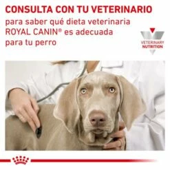 Royal Canin Pienso Urinary S/O Moderate Calorie Para Perro 19 Royal Canin Pienso Urinary S/O Moderate Calorie Para Perro -Suministros De Mascotas Ventas 2024 RC VET DRY DogUrinarySOMC CV Eretailkit 7 es ES 62fcc703134c2 g