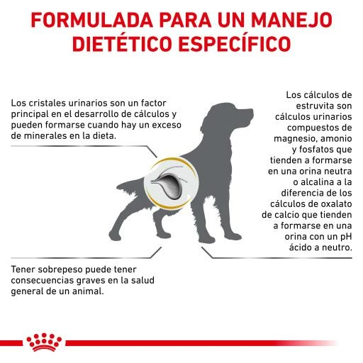 Royal Canin Pienso Urinary S/O Moderate Calorie Para Perro 11 Royal Canin Pienso Urinary S/O Moderate Calorie Para Perro - Imagen 9