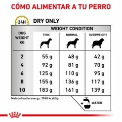 Royal Canin Pienso Urinary S/O Small Dog -Suministros De Mascotas Ventas 2024 RC VET DRY DogUrinarySOSD CV Eretailkit 4 es ES 62fcc72921a68 g