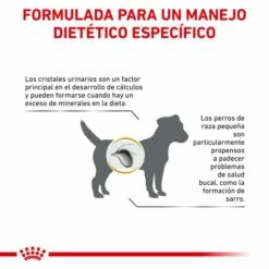 Royal Canin Pienso Urinary S/O Small Dog -Suministros De Mascotas Ventas 2024 RC VET DRY DogUrinarySOSD CV Eretailkit 7 es ES 62fcc72d16288 g