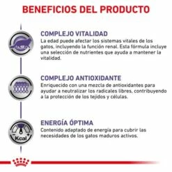 Royal Canin Comida Húmeda Mature Consult Para Gato -Suministros De Mascotas Ventas 2024 RC VET WET CatMatCons CV 4 es ES 62fce3f6b8d0d g