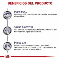 Royal Canin Comida Húmeda Neutered Balance Feline 12 Royal Canin Comida Húmeda Neutered Balance Feline -Suministros De Mascotas Ventas 2024 RC VET WET CatNeutBal CV 4 es ES 62fce4362e313 g