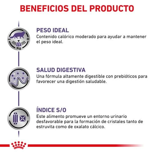 Royal Canin Comida Húmeda Neutered Balance Feline 5 Royal Canin Comida Húmeda Neutered Balance Feline - Imagen 3