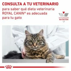 Royal Canin Comida Húmeda Neutered Balance Feline 17 Royal Canin Comida Húmeda Neutered Balance Feline -Suministros De Mascotas Ventas 2024 RC VET WET CatNeutBal CV 9 es ES 62fce43f8d400 g