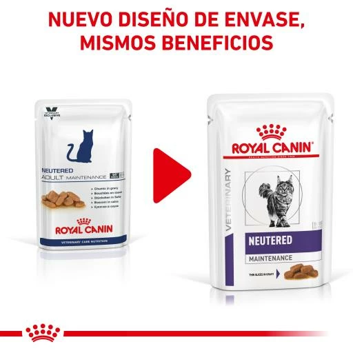 Royal Canin Comida Húmeda Neutered Maintenance Para Gato 5 Royal Canin Comida Húmeda Neutered Maintenance Para Gato - Imagen 3