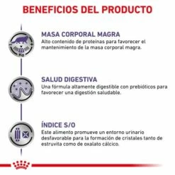Royal Canin Comida Húmeda Neutered Maintenance Para Gato 14 Royal Canin Comida Húmeda Neutered Maintenance Para Gato -Suministros De Mascotas Ventas 2024 RC VET WET CatNeutMaint CV 4 es ES 62fce45741b51 g