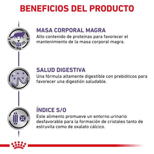 Royal Canin Comida Húmeda Neutered Maintenance Para Gato 6 Royal Canin Comida Húmeda Neutered Maintenance Para Gato - Imagen 4