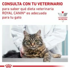 Royal Canin Comida Húmeda VHN Urinary S/O Salsa 16 Royal Canin Comida Húmeda VHN Urinary S/O Salsa -Suministros De Mascotas Ventas 2024 RC VET WET CatUrinarySOCIG CV Eretailkit 6 es ES 62fce4ed978e7 g