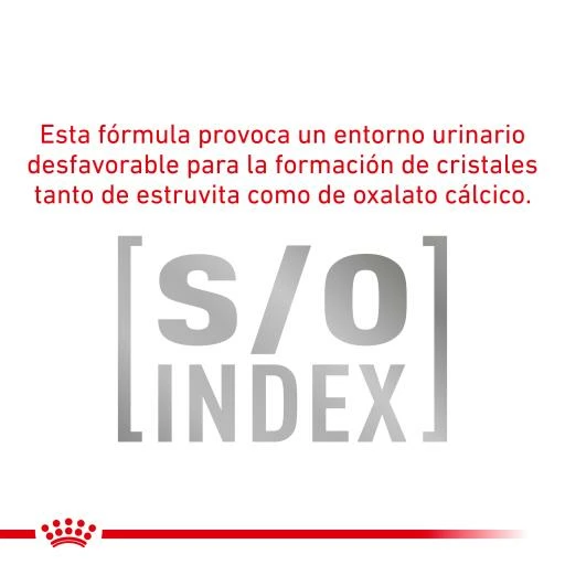 Royal Canin Diabetic Special Low Carbohydrate 6 Royal Canin Diabetic Special Low Carbohydrate - Imagen 4