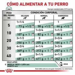 Royal Canin Diabetic Special Low Carbohydrate 14 Royal Canin Diabetic Special Low Carbohydrate -Suministros De Mascotas Ventas 2024 RC VET WET DogDiabeticSPLC410g CV Eretailkit 4 es ES 62fcdf4d9e146 g