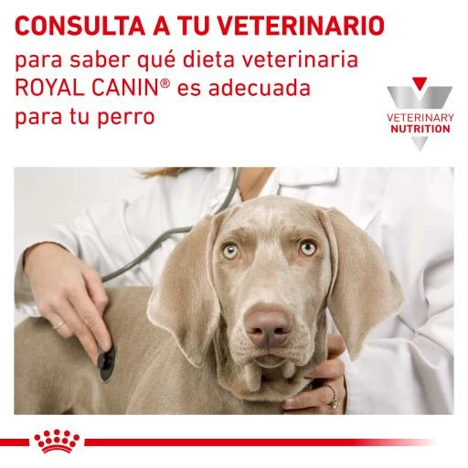 Royal Canin Comida Húmeda Satiety Canine 9 Royal Canin Comida Húmeda Satiety Canine - Imagen 7