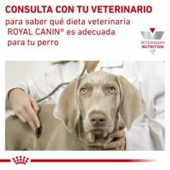 Pack 12 Royal Canin Comida Húmeda Sensitivity Control Pato Con Arroz 10 Pack 12 Royal Canin Comida Húmeda Sensitivity Control Pato Con Arroz -Suministros De Mascotas Ventas 2024 RC VET WET DogSensContDWR CV Eretailkit 5 es ES 62fcc12dc71e4 g
