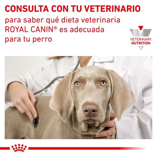 Royal Canin Urinary S/O Ageing +7 10 Royal Canin Urinary S/O Ageing +7 - Imagen 8