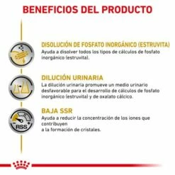 Royal Canin Urinary S/O Comida Húmeda 14 Royal Canin Urinary S/O Comida Húmeda -Suministros De Mascotas Ventas 2024 RC VET WET DogUrinarySOCIG CV Eretailkit 2 es ES 62fcc79d09360 g
