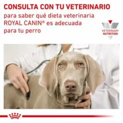 Royal Canin Urinary S/O Comida Húmeda 18 Royal Canin Urinary S/O Comida Húmeda -Suministros De Mascotas Ventas 2024 RC VET WET DogUrinarySOCIG CV Eretailkit 6 es ES 62fcc7a270bd2 g
